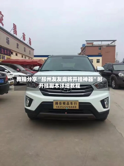 教程分享“邳州友友麻将开挂神器	”附开挂脚本详细教程-第1张图片