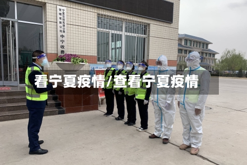 看宁夏疫情/查看宁夏疫情-第1张图片