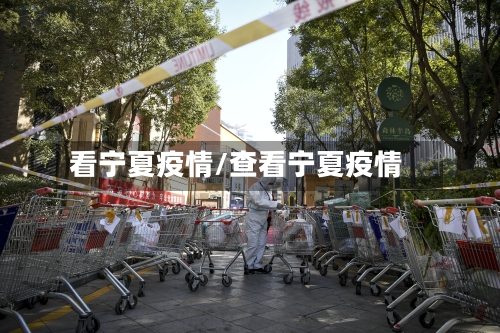 看宁夏疫情/查看宁夏疫情-第2张图片