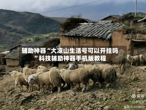 辅助神器“大凉山生活号可以开挂吗”科技辅助神器手机版教程-第1张图片