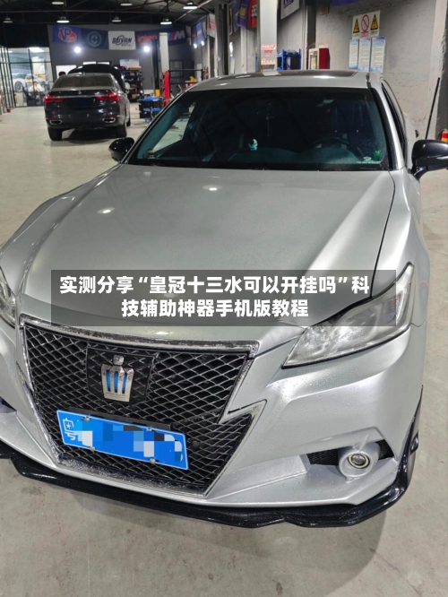 实测分享“皇冠十三水可以开挂吗”科技辅助神器手机版教程-第3张图片