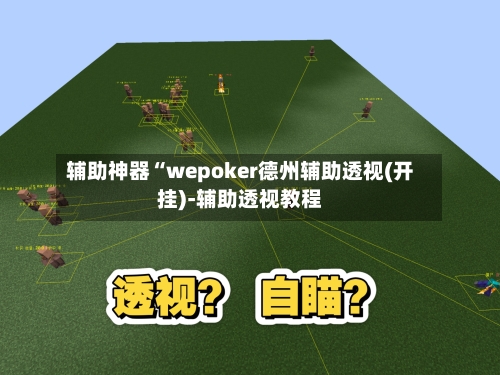 辅助神器“wepoker德州辅助透视(开挂)-辅助透视教程-第3张图片
