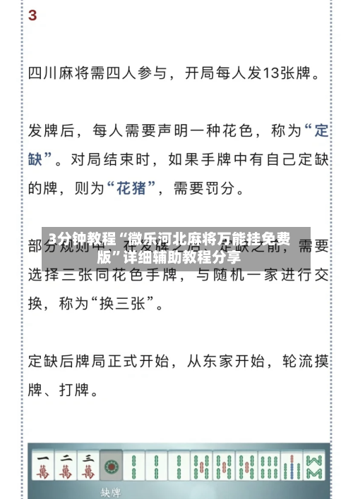 3分钟教程“微乐河北麻将万能挂免费版”详细辅助教程分享-第3张图片