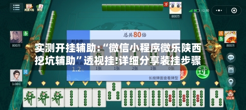 实测开挂辅助:“微信小程序微乐陕西挖坑辅助”透视挂!详细分享装挂步骤-第2张图片