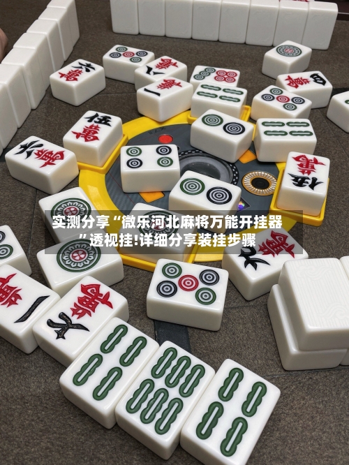 实测分享“微乐河北麻将万能开挂器”透视挂!详细分享装挂步骤-第2张图片