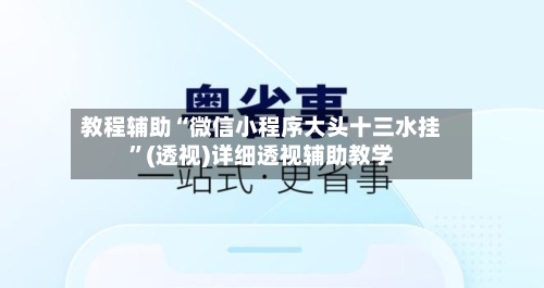 教程辅助“微信小程序大头十三水挂”(透视)详细透视辅助教学-第2张图片