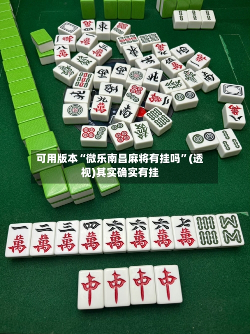 可用版本“微乐南昌麻将有挂吗”(透视)其实确实有挂-第1张图片