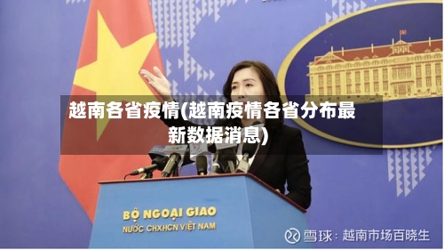 越南各省疫情(越南疫情各省分布最新数据消息)-第2张图片