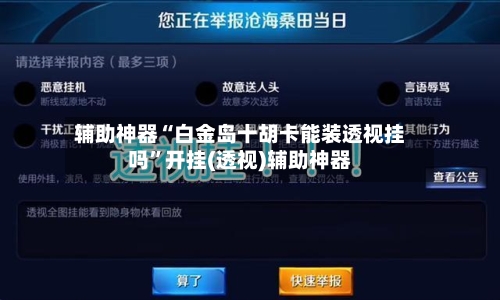 辅助神器“白金岛十胡卡能装透视挂吗”开挂(透视)辅助神器-第3张图片