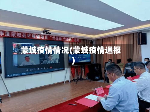 蒙城疫情情况(蒙城疫情通报)-第3张图片