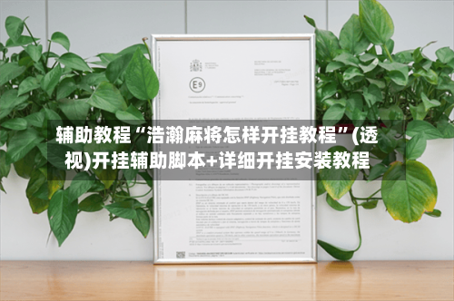 辅助教程“浩瀚麻将怎样开挂教程”(透视)开挂辅助脚本+详细开挂安装教程-第1张图片