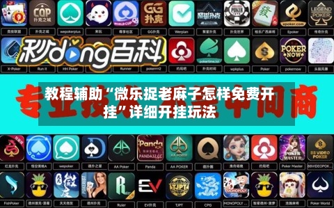 教程辅助“微乐捉老麻子怎样免费开挂”详细开挂玩法-第1张图片