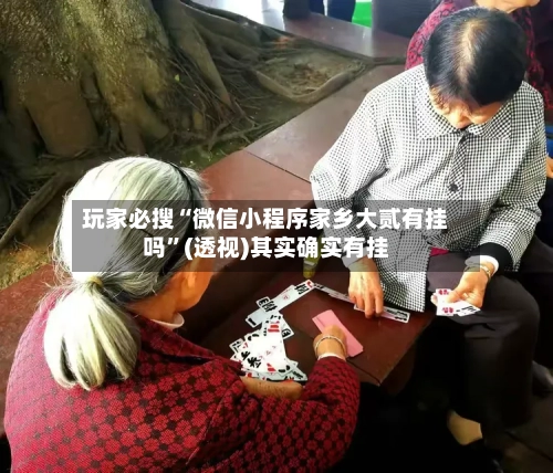 玩家必搜“微信小程序家乡大贰有挂吗	”(透视)其实确实有挂-第1张图片