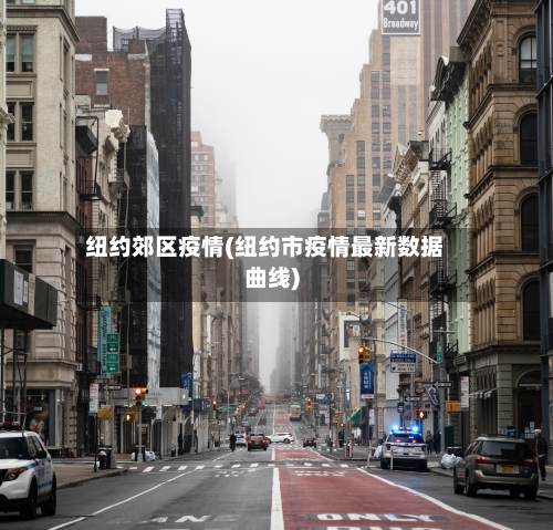 纽约郊区疫情(纽约市疫情最新数据曲线)-第1张图片