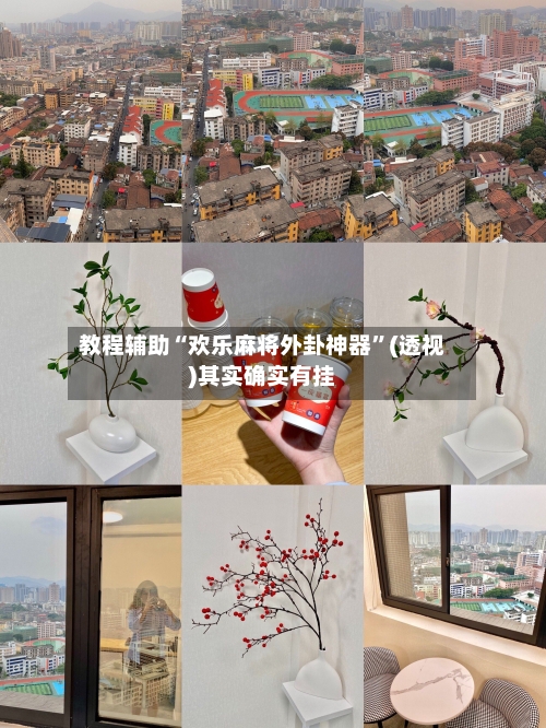 教程辅助“欢乐麻将外卦神器”(透视)其实确实有挂-第2张图片