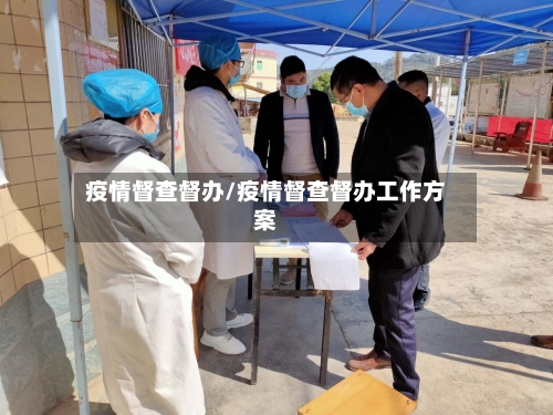 疫情督查督办/疫情督查督办工作方案-第2张图片