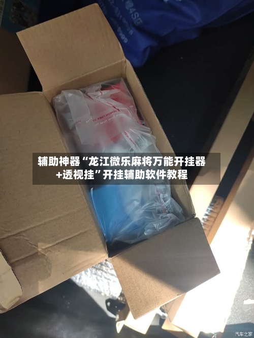 辅助神器“龙江微乐麻将万能开挂器+透视挂”开挂辅助软件教程-第2张图片
