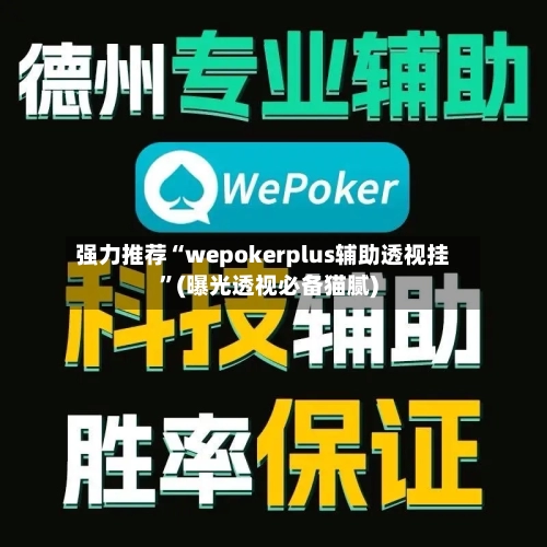 强力推荐“wepokerplus辅助透视挂”(曝光透视必备猫腻)-第3张图片