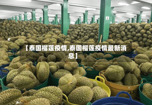 【泰国榴莲疫情,泰国榴莲疫情最新消息】-第2张图片