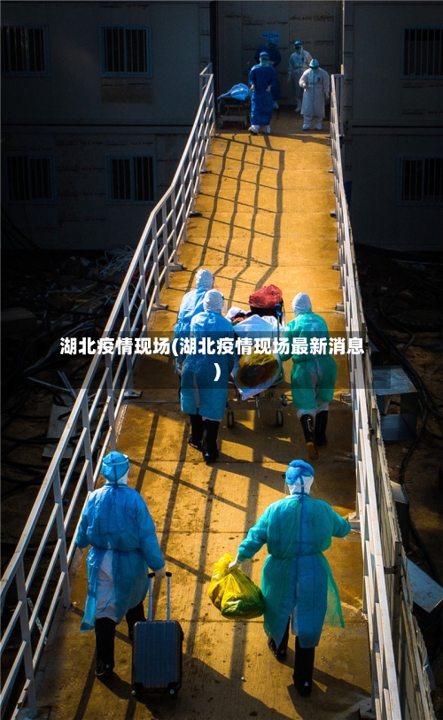湖北疫情现场(湖北疫情现场最新消息)-第2张图片