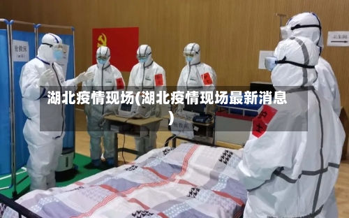 湖北疫情现场(湖北疫情现场最新消息)-第3张图片