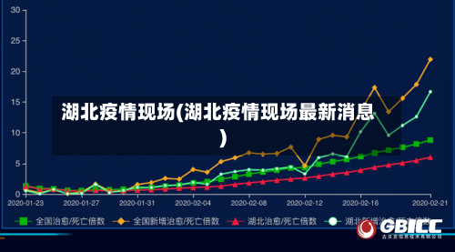 湖北疫情现场(湖北疫情现场最新消息)-第1张图片