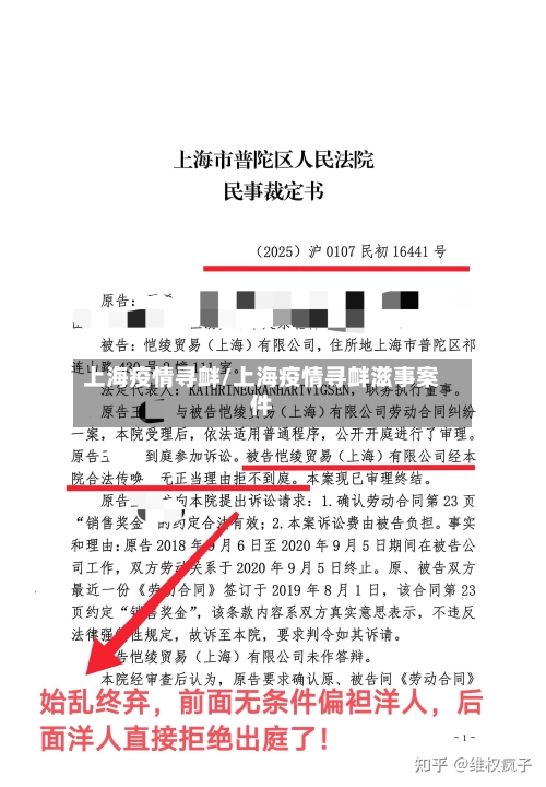 上海疫情寻衅/上海疫情寻衅滋事案件-第2张图片
