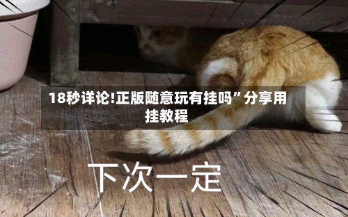 18秒详论!正版随意玩有挂吗”分享用挂教程-第1张图片