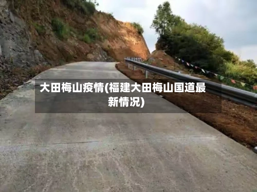 大田梅山疫情(福建大田梅山国道最新情况)-第2张图片