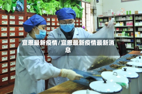 宣恩最新疫情/宣恩最新疫情最新消息-第2张图片