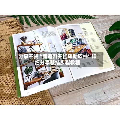 分享干货“新道游开挂辅助软件	”详细分享装挂步骤教程-第2张图片