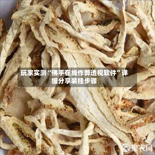 玩家实测“佛手在线作弊透视软件	”详细分享装挂步骤-第1张图片