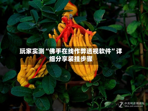 玩家实测“佛手在线作弊透视软件”详细分享装挂步骤-第2张图片