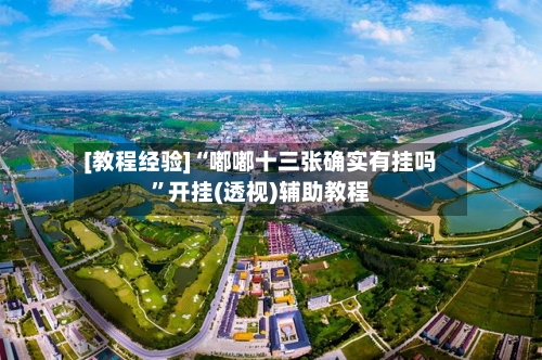 [教程经验]“嘟嘟十三张确实有挂吗	”开挂(透视)辅助教程-第1张图片