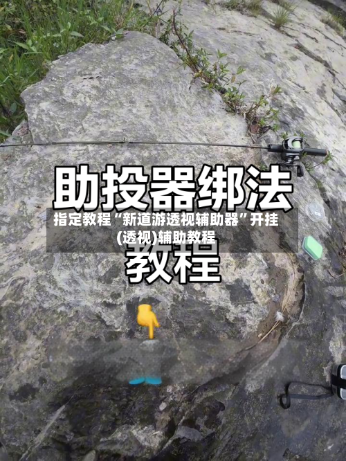 指定教程“新道游透视辅助器	”开挂(透视)辅助教程-第1张图片