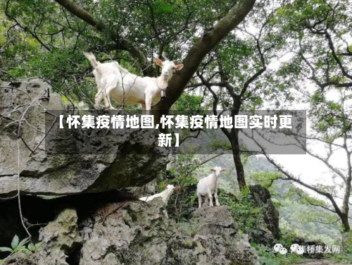 【怀集疫情地图,怀集疫情地图实时更新】-第1张图片