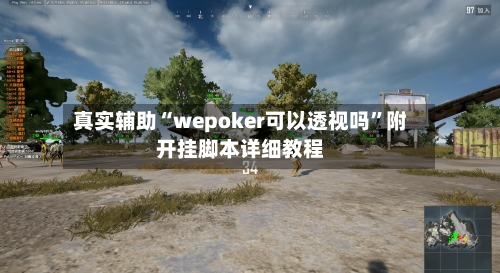 真实辅助“wepoker可以透视吗”附开挂脚本详细教程-第3张图片