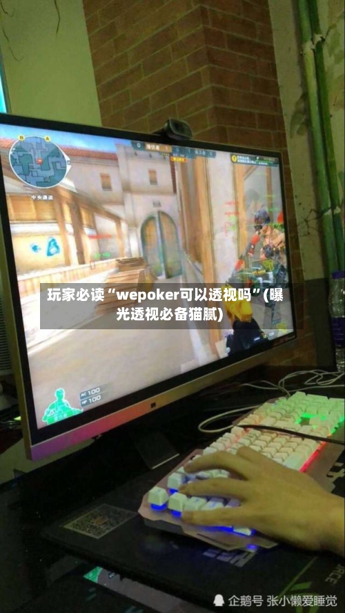 玩家必读“wepoker可以透视吗”(曝光透视必备猫腻)-第1张图片