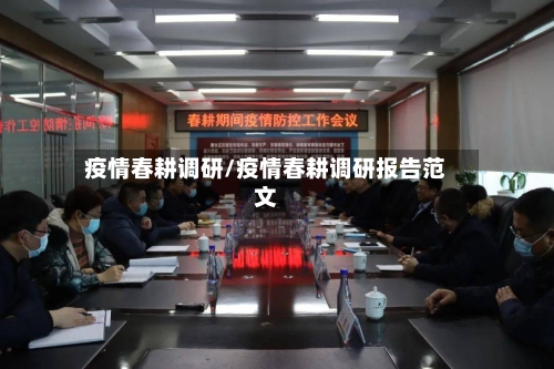 疫情春耕调研/疫情春耕调研报告范文-第1张图片