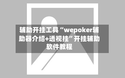 辅助开挂工具“wepoker辅助器介绍+透视挂”开挂辅助软件教程-第1张图片