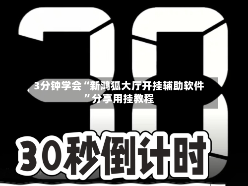 3分钟学会“新鸿狐大厅开挂辅助软件”分享用挂教程-第2张图片