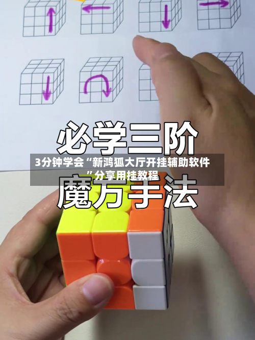 3分钟学会“新鸿狐大厅开挂辅助软件”分享用挂教程-第1张图片