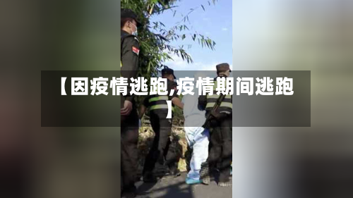 【因疫情逃跑,疫情期间逃跑】-第3张图片