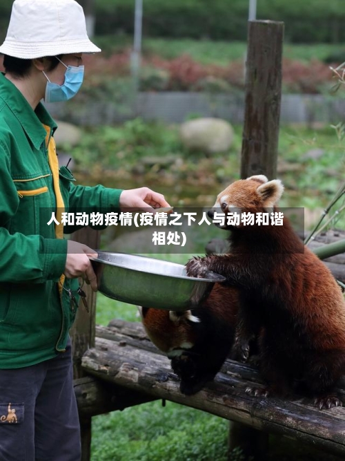 人和动物疫情(疫情之下人与动物和谐相处)-第3张图片