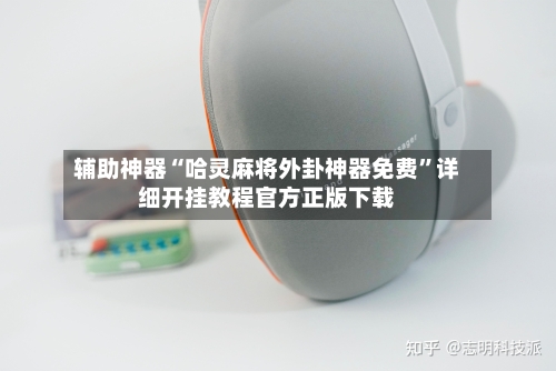 辅助神器“哈灵麻将外卦神器免费”详细开挂教程官方正版下载-第3张图片