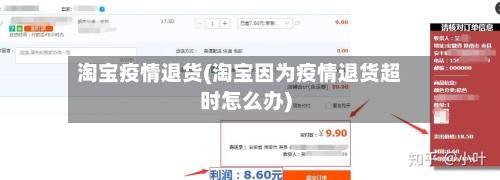 淘宝疫情退货(淘宝因为疫情退货超时怎么办)-第2张图片
