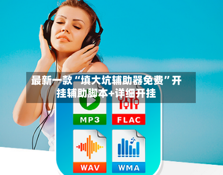 最新一款“填大坑辅助器免费”开挂辅助脚本+详细开挂-第2张图片