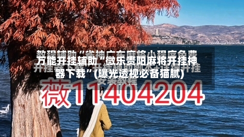 万能开挂辅助“微乐贵阳麻将开挂神器下载”(曝光透视必备猫腻)-第1张图片