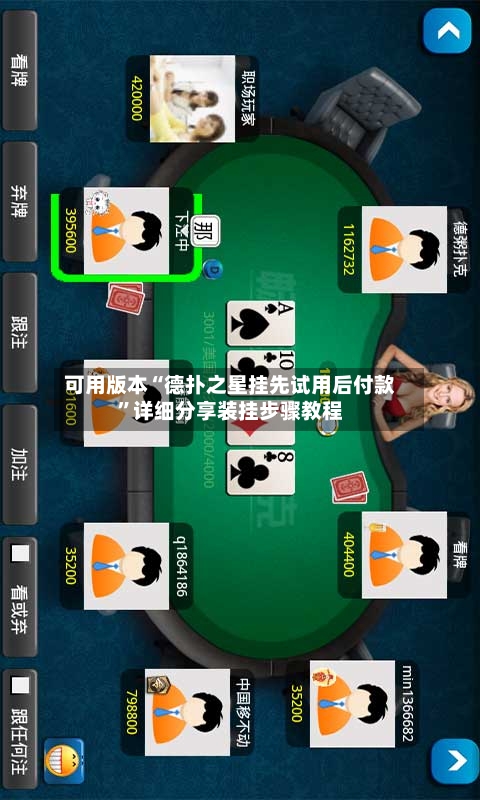 可用版本“德扑之星挂先试用后付款	”详细分享装挂步骤教程-第2张图片