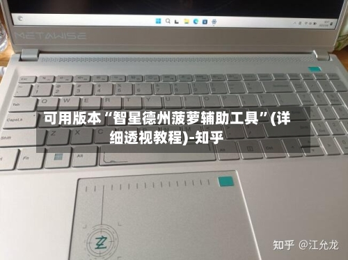 可用版本“智星德州菠萝辅助工具”(详细透视教程)-知乎-第2张图片